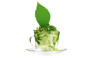 绿茶app