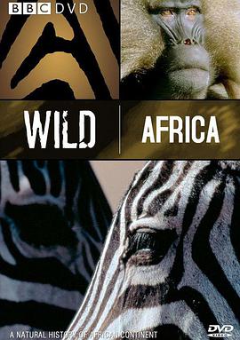 非洲人和动物性交片