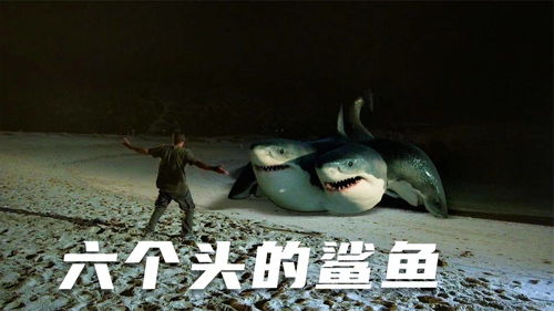 夺命二十头鲨电影
